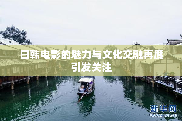 日韩电影的魅力与文化交融再度引发关注