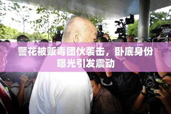警花被贩毒团伙袭击，卧底身份曝光引发震动