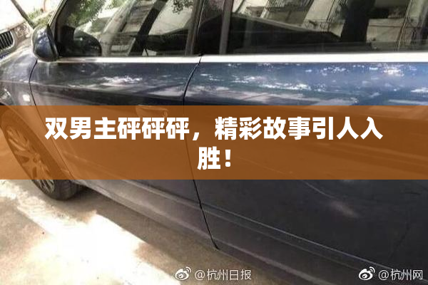 双男主砰砰砰，精彩故事引人入胜！