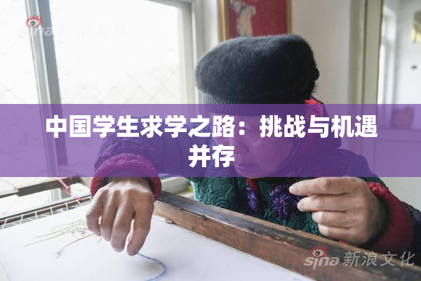 中国学生求学之路：挑战与机遇并存