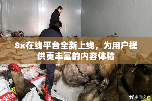 8x在线平台全新上线，为用户提供更丰富的内容体验