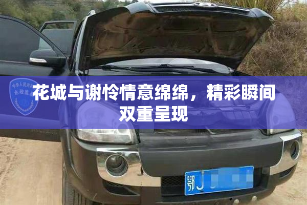 花城与谢怜情意绵绵，精彩瞬间双重呈现