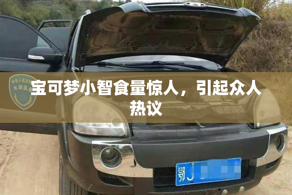 宝可梦小智食量惊人，引起众人热议