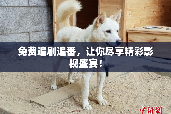 免费追剧追番，让你尽享精彩影视盛宴！