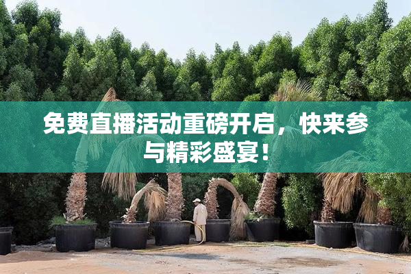 免费直播活动重磅开启，快来参与精彩盛宴！