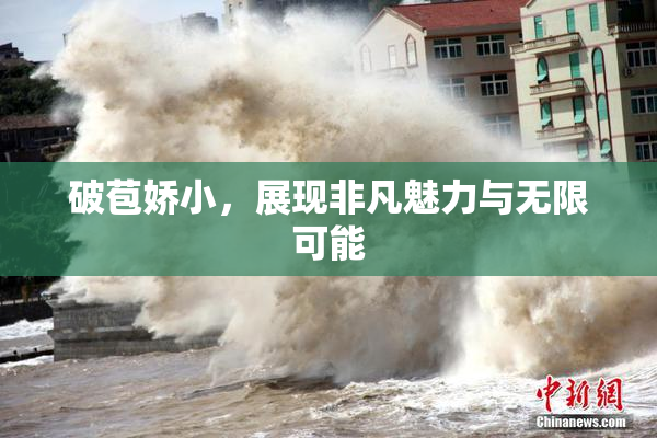 破苞娇小，展现非凡魅力与无限可能