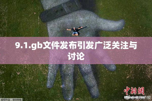 9.1.gb文件发布引发广泛关注与讨论