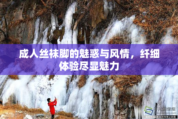 成人丝袜脚的魅惑与风情，纤细体验尽显魅力