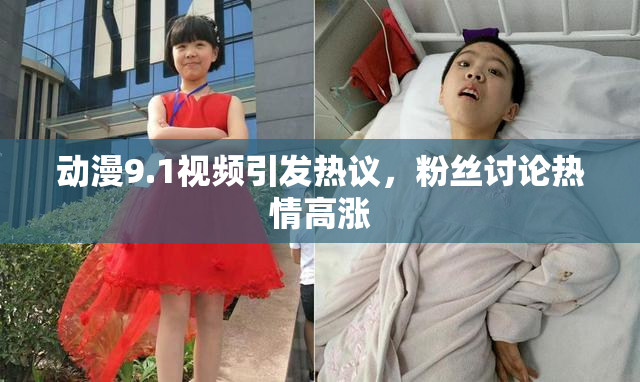 动漫9.1视频引发热议，粉丝讨论热情高涨