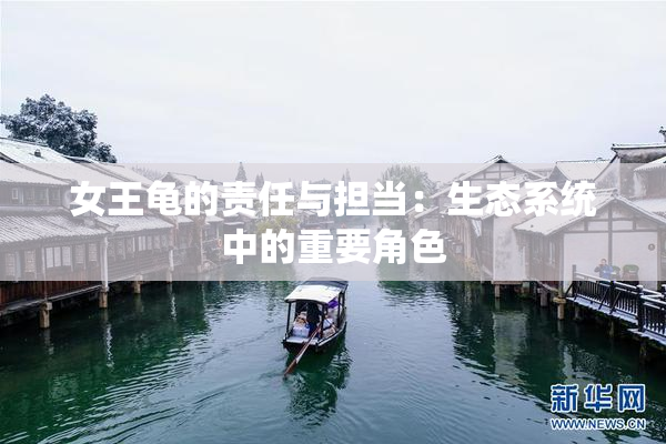 女王龟的责任与担当：生态系统中的重要角色