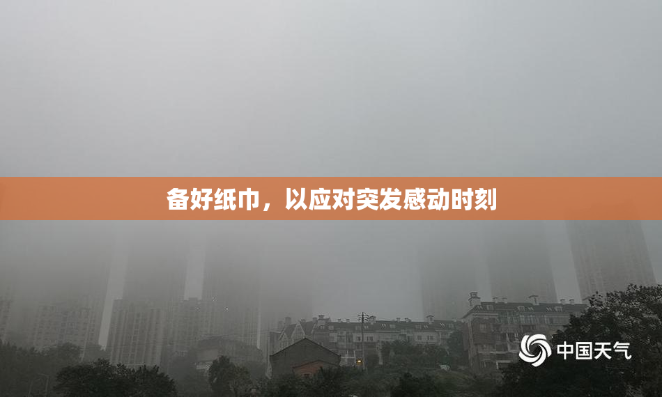 备好纸巾，以应对突发感动时刻