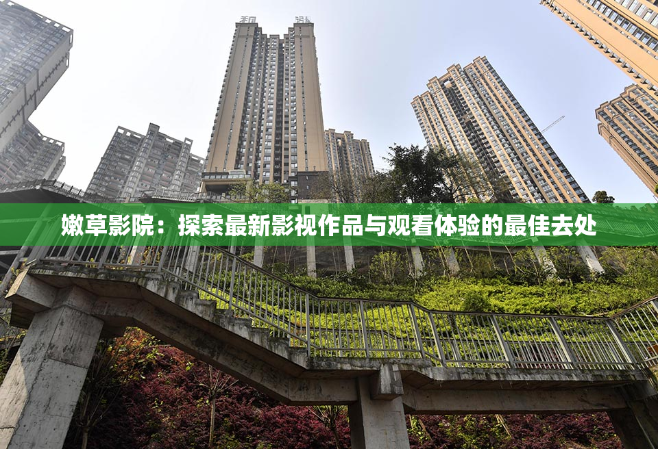 嫩草影院：探索最新影视作品与观看体验的最佳去处