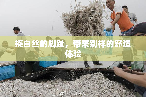 挠白丝的脚趾，带来别样的舒适体验