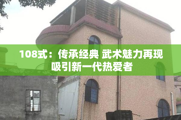 108式：传承经典 武术魅力再现 吸引新一代热爱者