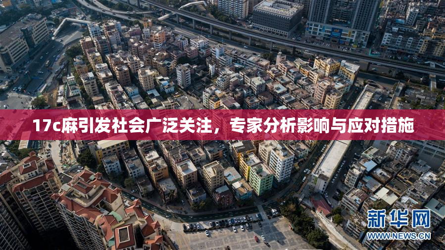 17c麻引发社会广泛关注，专家分析影响与应对措施
