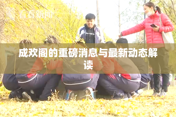 成欢阁的重磅消息与最新动态解读