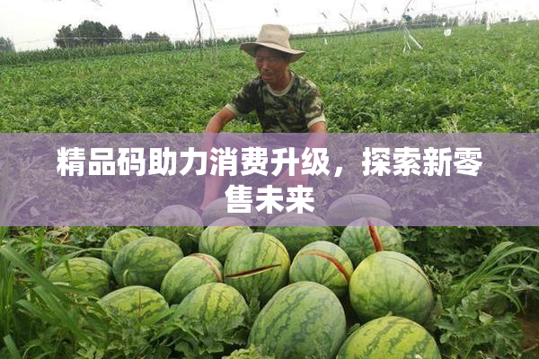 精品码助力消费升级，探索新零售未来