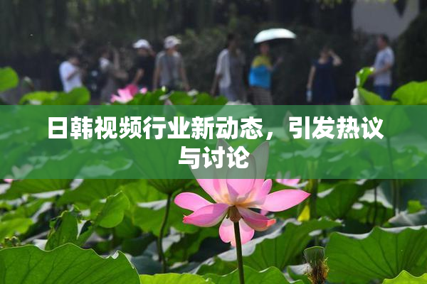 日韩视频行业新动态，引发热议与讨论