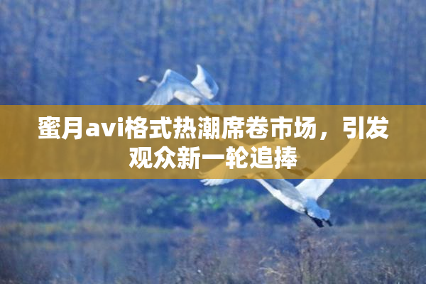 蜜月avi格式热潮席卷市场，引发观众新一轮追捧