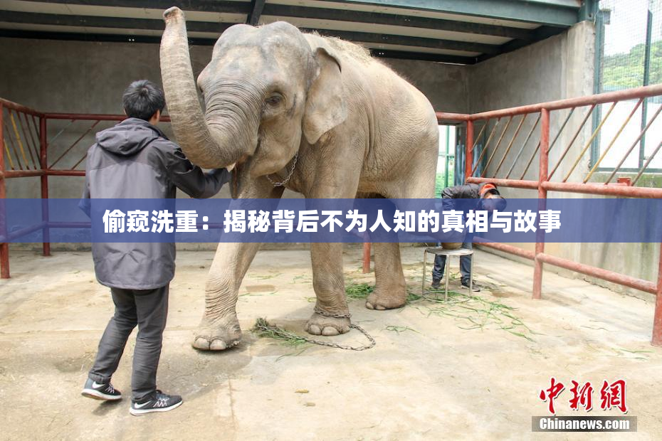 偷窥洗重：揭秘背后不为人知的真相与故事