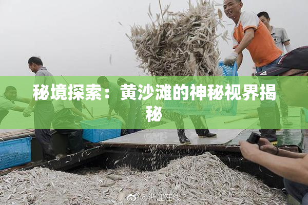秘境探索：黄沙滩的神秘视界揭秘