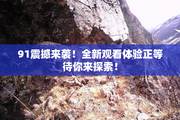 91震撼来袭！全新观看体验正等待你来探索！