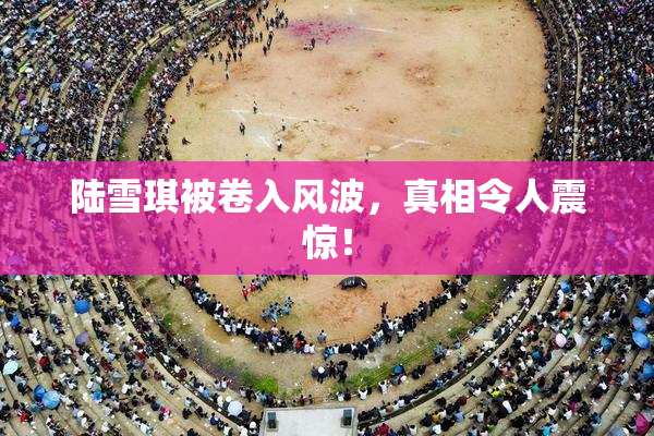 陆雪琪被卷入风波，真相令人震惊！