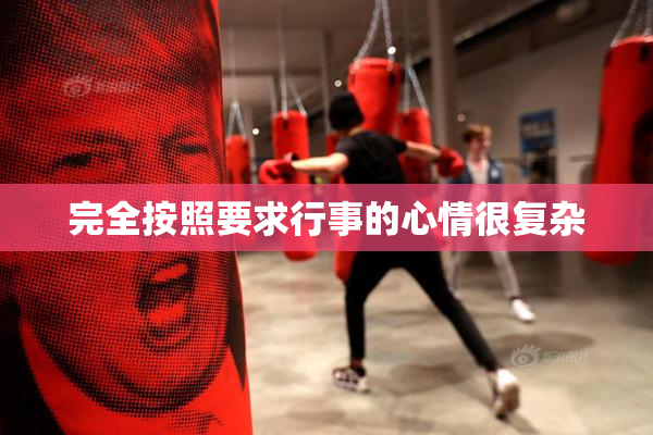 完全按照要求行事的心情很复杂