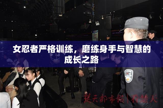 女忍者严格训练，磨练身手与智慧的成长之路