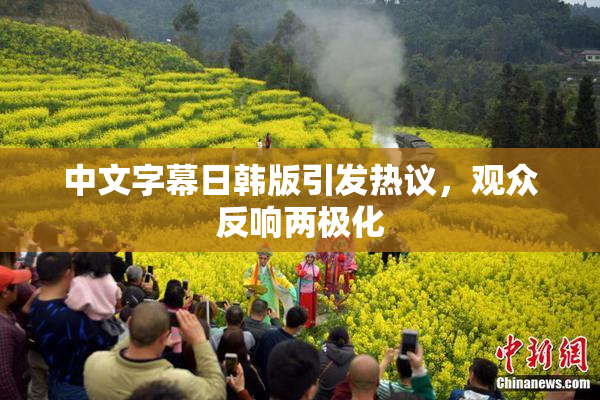 中文字幕日韩版引发热议，观众反响两极化