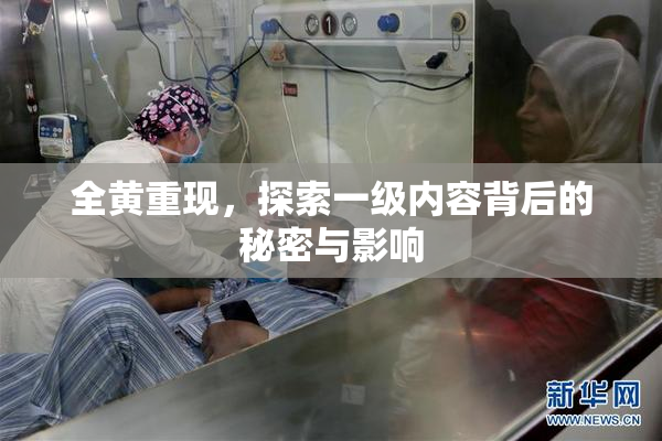 全黄重现，探索一级内容背后的秘密与影响