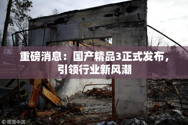 重磅消息：国产精品3正式发布，引领行业新风潮