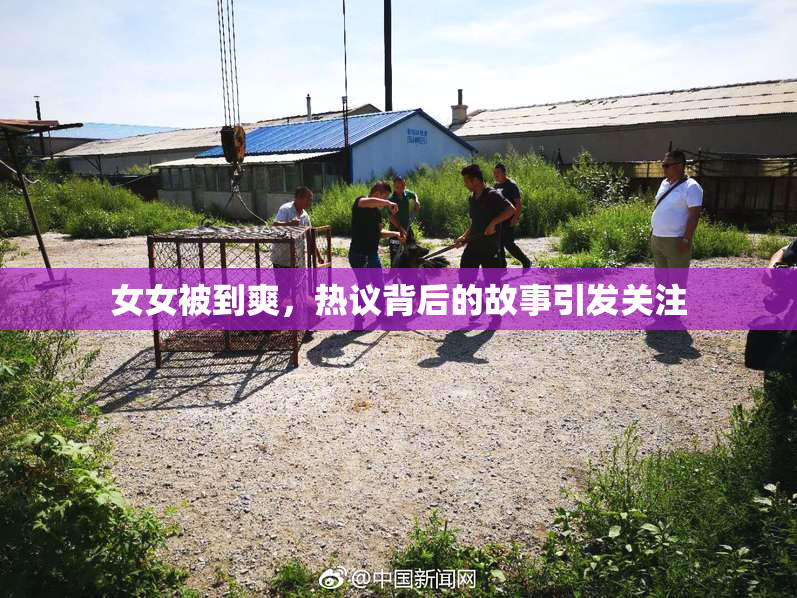 女女被到爽，热议背后的故事引发关注