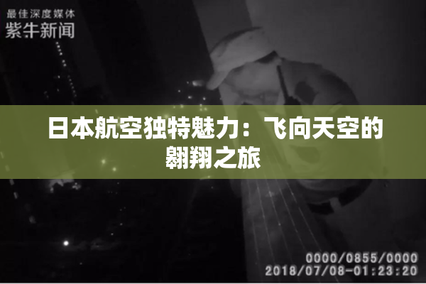 日本航空独特魅力：飞向天空的翱翔之旅