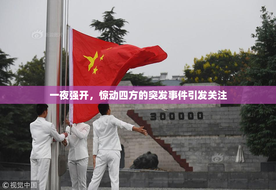 一夜强开，惊动四方的突发事件引发关注