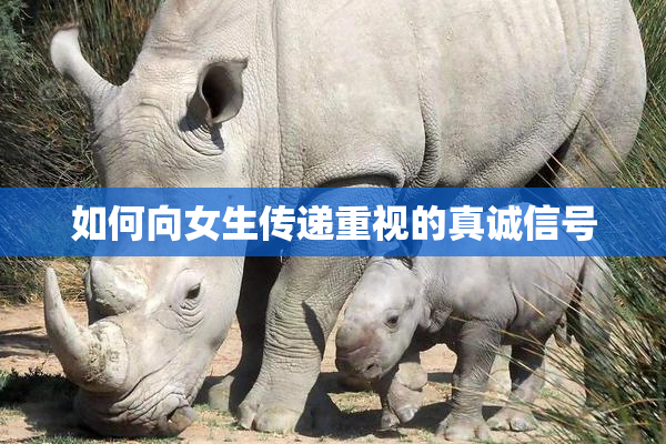 如何向女生传递重视的真诚信号