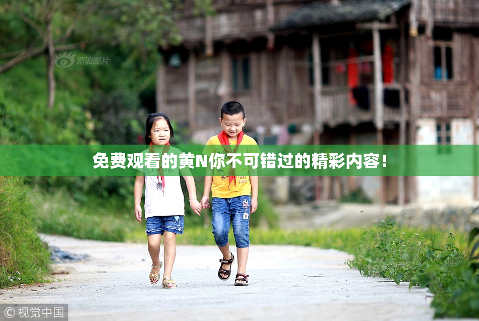 免费观看的黄Ν你不可错过的精彩内容！