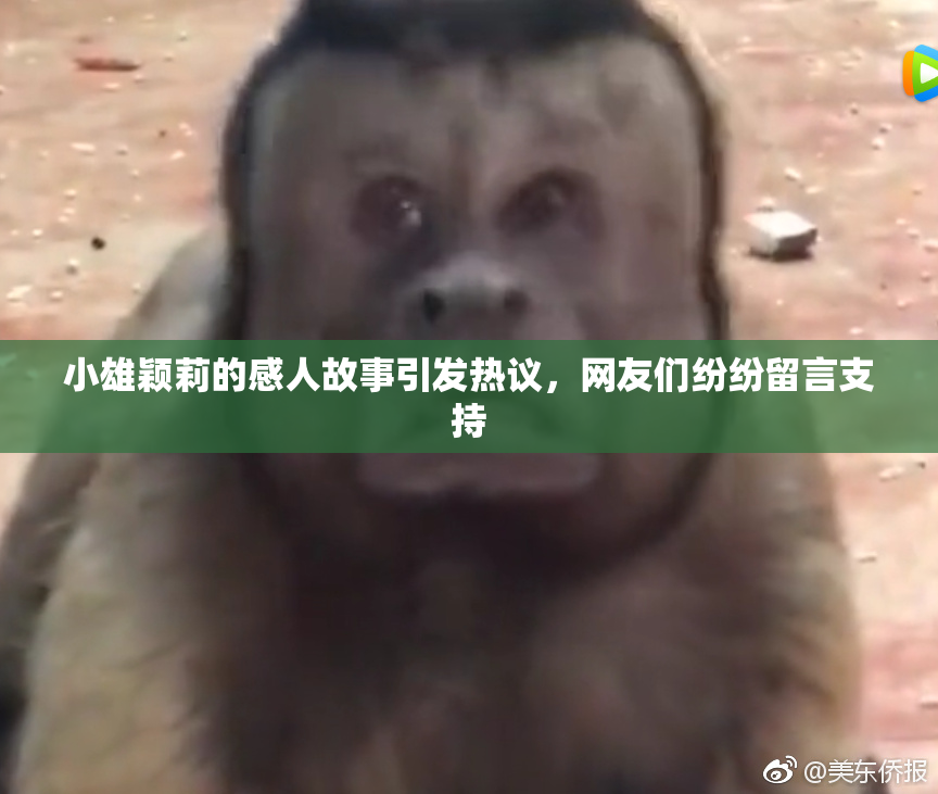 小雄颖莉的感人故事引发热议，网友们纷纷留言支持