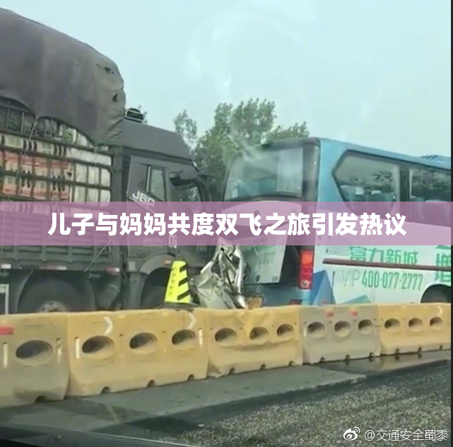 儿子与妈妈共度双飞之旅引发热议