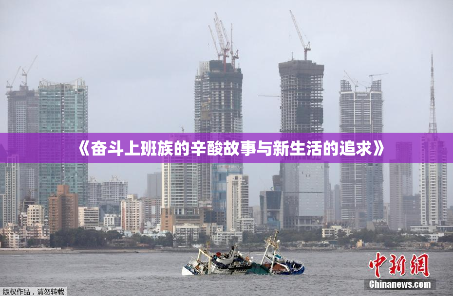 《奋斗上班族的辛酸故事与新生活的追求》