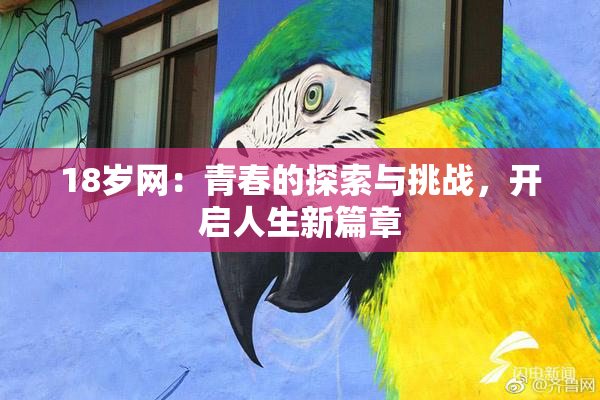 18岁网：青春的探索与挑战，开启人生新篇章