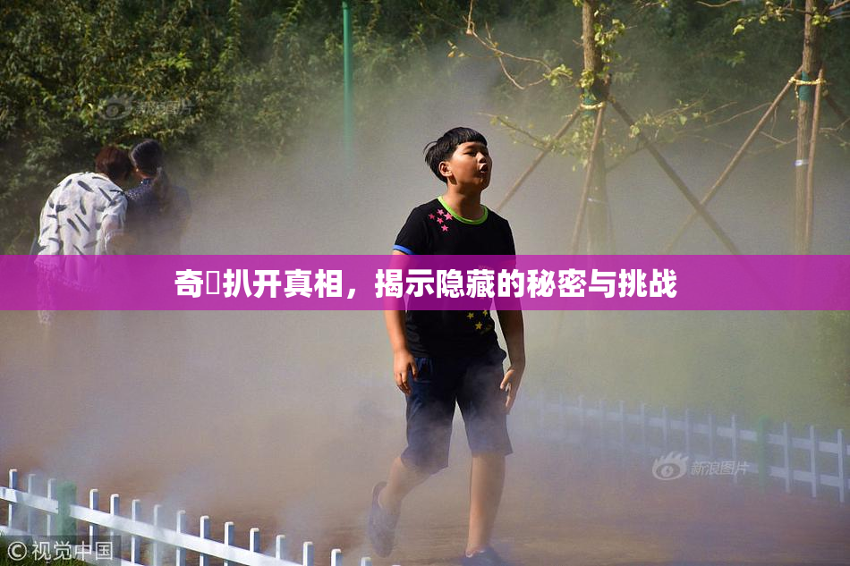 奇犽扒开真相，揭示隐藏的秘密与挑战