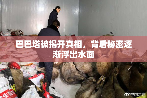 巴巴塔被揭开真相，背后秘密逐渐浮出水面