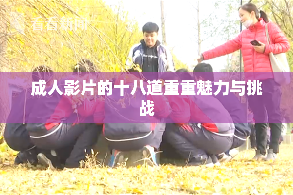成人影片的十八道重重魅力与挑战