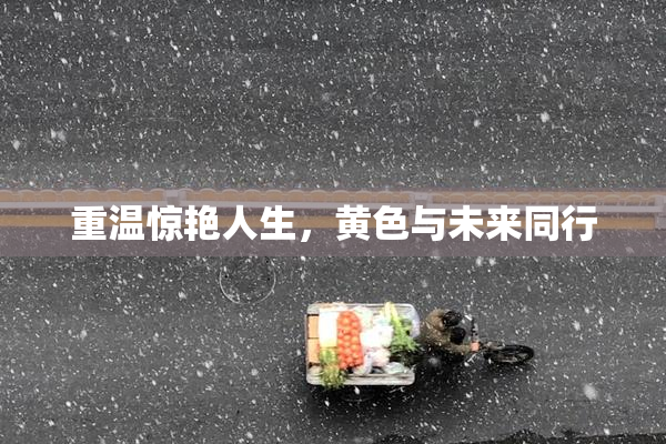 重温惊艳人生，黄色与未来同行