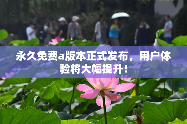 永久免费a版本正式发布，用户体验将大幅提升！