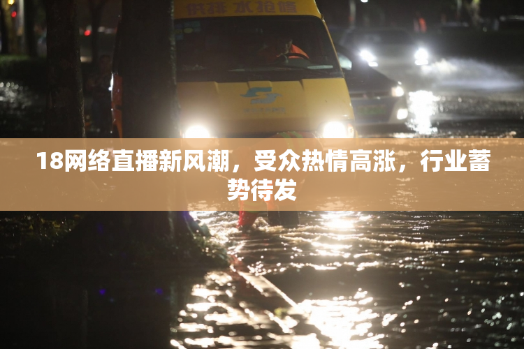 18网络直播新风潮，受众热情高涨，行业蓄势待发