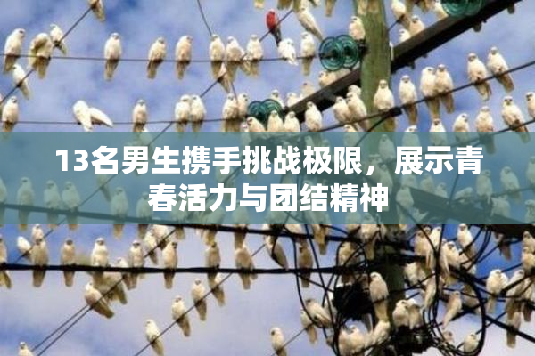 13名男生携手挑战极限，展示青春活力与团结精神