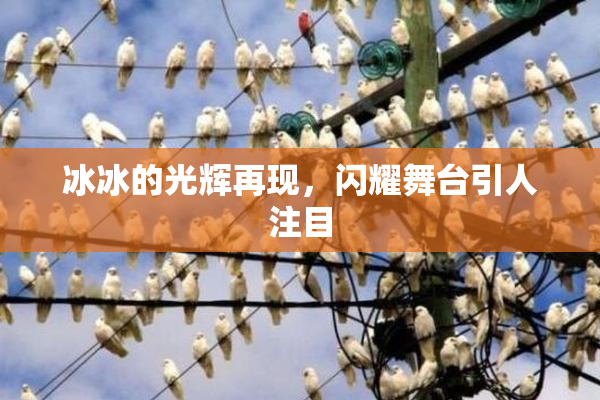 冰冰的光辉再现，闪耀舞台引人注目