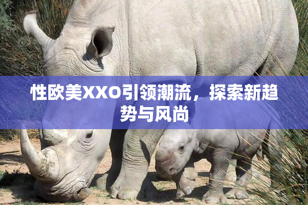 性欧美XXO引领潮流，探索新趋势与风尚